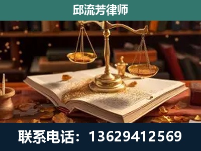 登封-新型网络犯罪